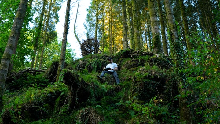 Playing the Sonicware LIVEN Ambient Ø synth amongst the trees at sunrise